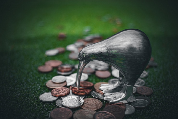 Smaller size BPWebKiwi-6